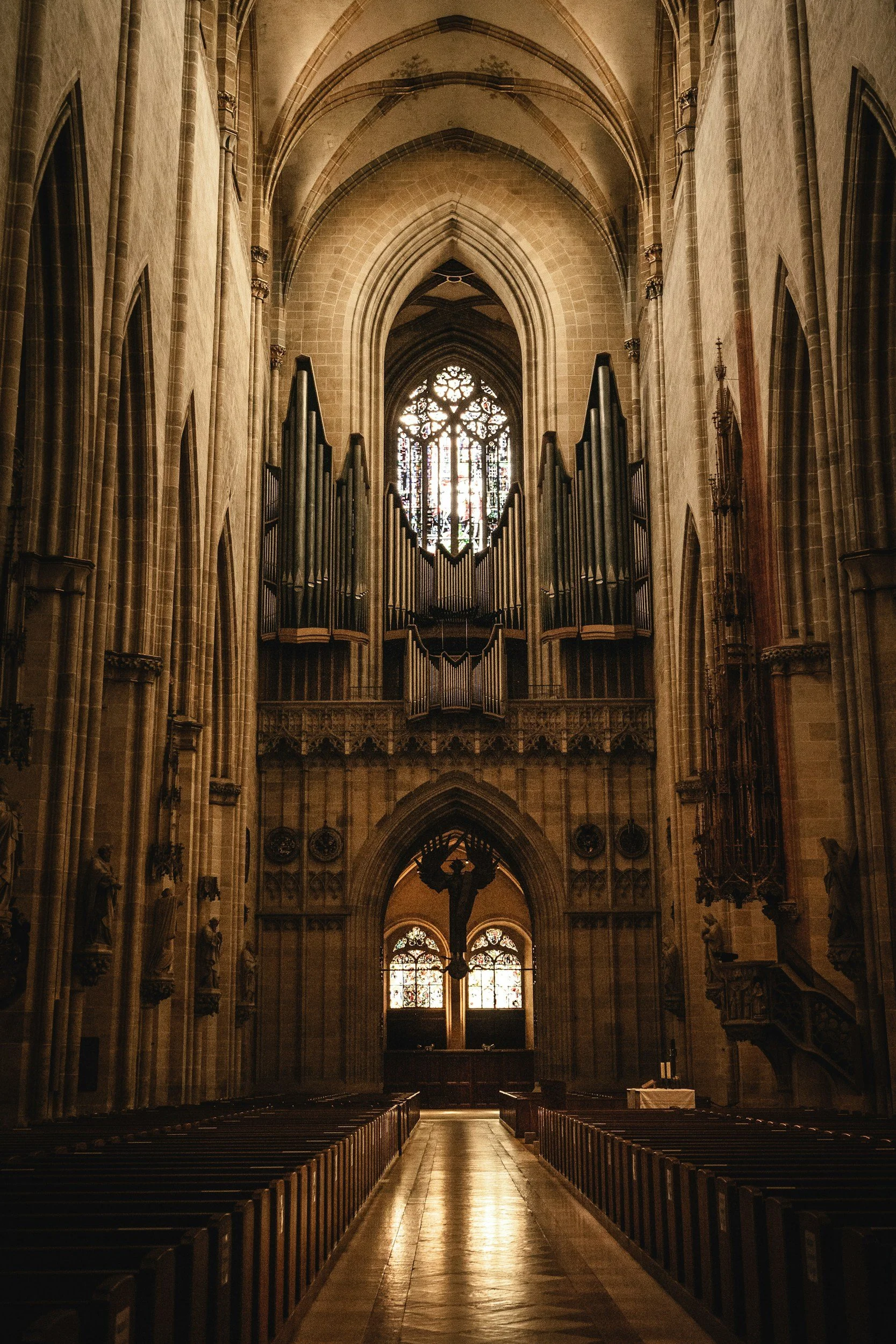 Cathedral interior with soaring arches and organ pipes, bathed in warm light